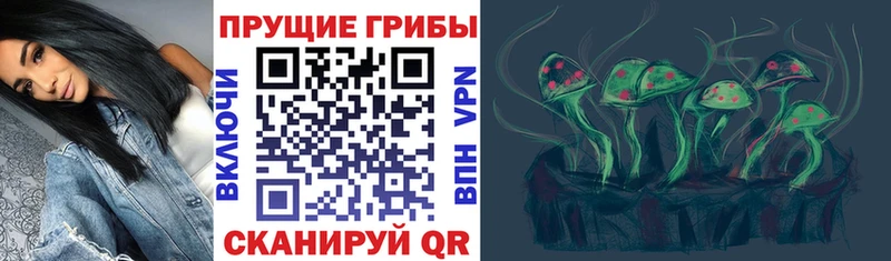 Галлюциногенные грибы прущие грибы  купить   Балахна 